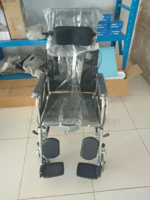 Mobile Toilet Wheelchair with Back Support