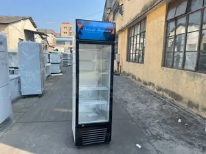 Industrial Single Vertical Display Chiller Machine