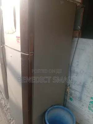 LG Standing Freezer 207L