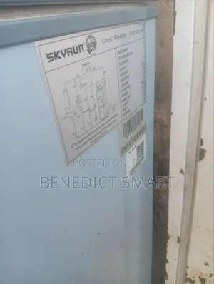 Skyrun Chest Freezer