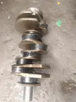 Standard Crankshaft don Dodge Ram - 2