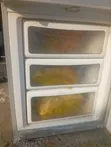 LG Standing Freezer - Used - 4