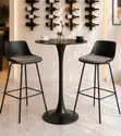 Elegant Design Bar Stool and Table Set - 1
