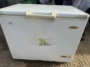 Thermocool Freezer Mai Tsaye