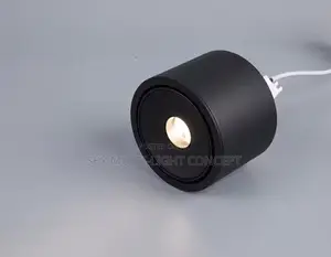 Kanan Hasken LED Mai Karamin Haske (85-265V)