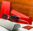 Cartier Frameless Sunglasses - 1