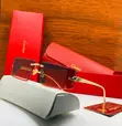 Cartier Frameless Sunglasses - 2