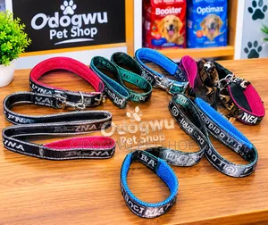 Padded Leash and Collar Set
