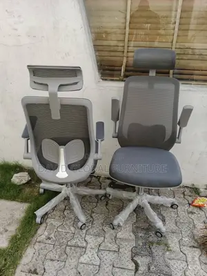 Modern Ergonomic Office Chair with Swivel Function