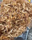 Oron Crayfish (Custard Bucket) - 2