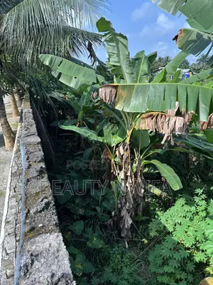 2 Plot na Ƙasa don Siyarwa, Tai