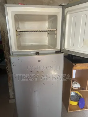 Skyrun Deep Freezer da Thermocool Standing Fridge
