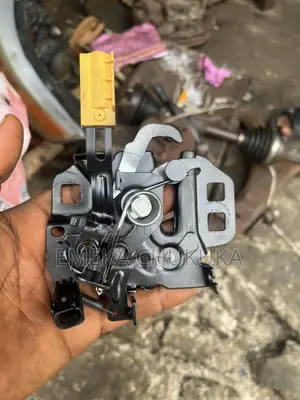 Ford Edge Bonnet Catcher (2015-2017)