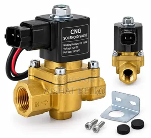 CNG Solenoid Valve don Gyaran Mota