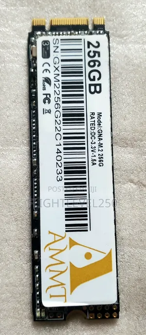 256GB M.2 NVMe SSD