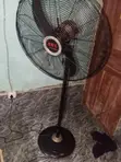 ORL Standing Fan - 1