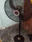 ORL Standing Fan - 2