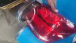 Mercedes-Benz GLK-Class 2014 Right Tail Light - 3