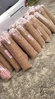 Premium Dried Crayfish/Shrimp - 2