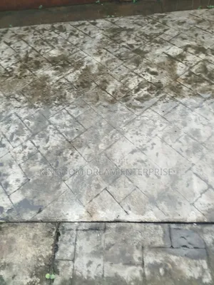 500sqm Filin Zama a Beach Front Estate, Osapa London