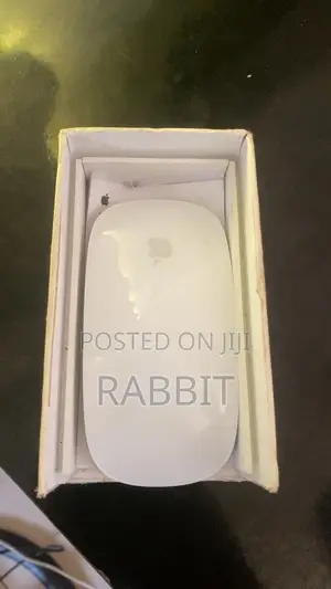 Apple Magic Mouse (Used)