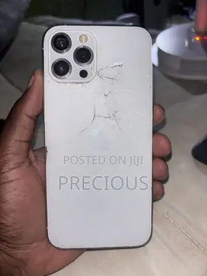 Apple iPhone 12 Pro Max 128GB Gold (Babu Face ID)
