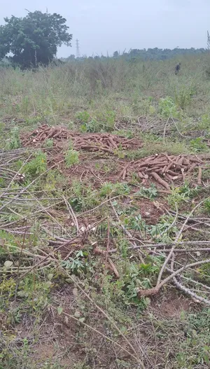Farmland for Lease in Ewekoro