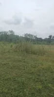 Farmland for Lease in Ewekoro - 2