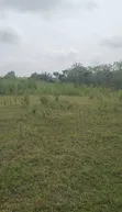 Farmland for Lease in Ewekoro - 3