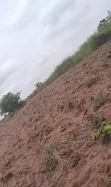 Farmland for Lease in Ewekoro - 5