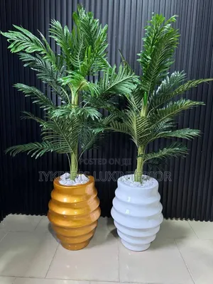 Artificial Grass for Home