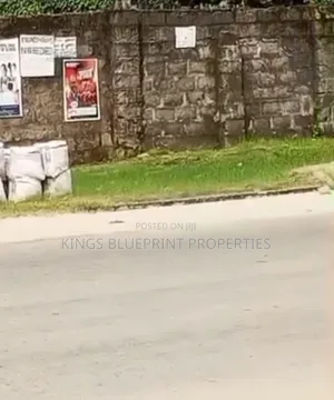 Commercial Land 100x100ft Along Major Jeddo Road, Delta State