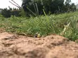 1.5 Plot na Ƙasa Mai Bushewa don Siyarwa a Agbedo Alase, Moniya, Ibadan - 2