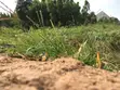1.5 Plot na Ƙasa Mai Bushewa don Siyarwa a Agbedo Alase, Moniya, Ibadan - 4