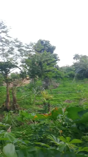 Gonar Kasa Don Siyarwa a Iworoko Ekiti