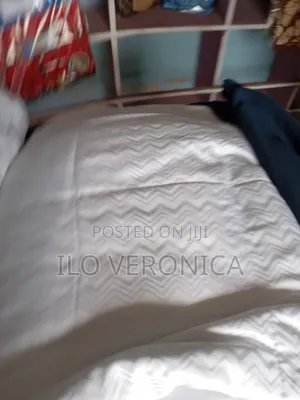 Home Interiors Blanket and Pillow Set
