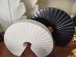 Ceramic Decor Shell Set - Brand New - 1