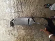 Bakin Bumper na Mercedes-Benz E300 2018 - 1