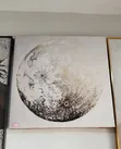 Home Interiors 70x70cm Canvas Wall Art - 4