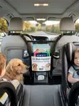 Car Mesh Organizer & Pet/Kids Barrier - 3