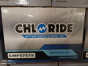 Brand New Chloride Battery
