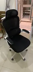 Ergonomic Office Chair - Used - 2