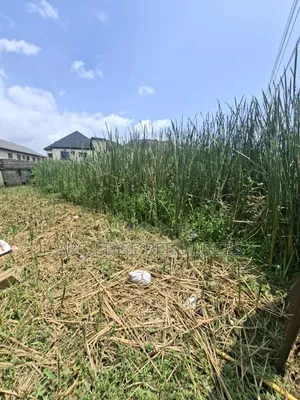 Fenced Dry Half Plot for Sale in Lakeview Phase 1, Amuwo