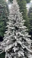 Frosted Pine Christmas Tree - 1