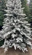 Frosted Pine Christmas Tree - 2