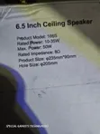 Celine Speaker - 4