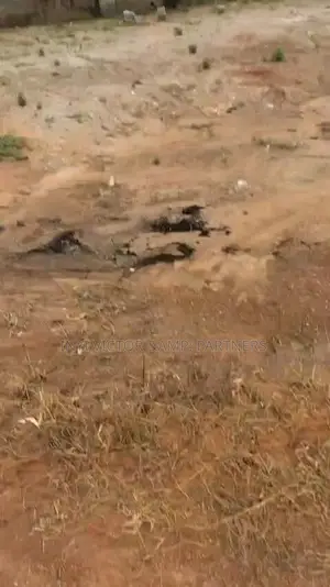 Filin Estate 600sqm don Gida mai Dakuna 4 da BQ