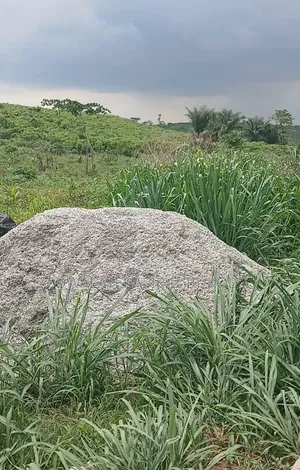 Diamond Estate 2.0 Land for Sale, Mowe-Ofada, Ogun State