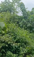 Diamond Estate 2.0 Land for Sale, Mowe-Ofada, Ogun State - 3
