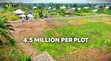 Maple Residence - Residential Land for Sale - 2